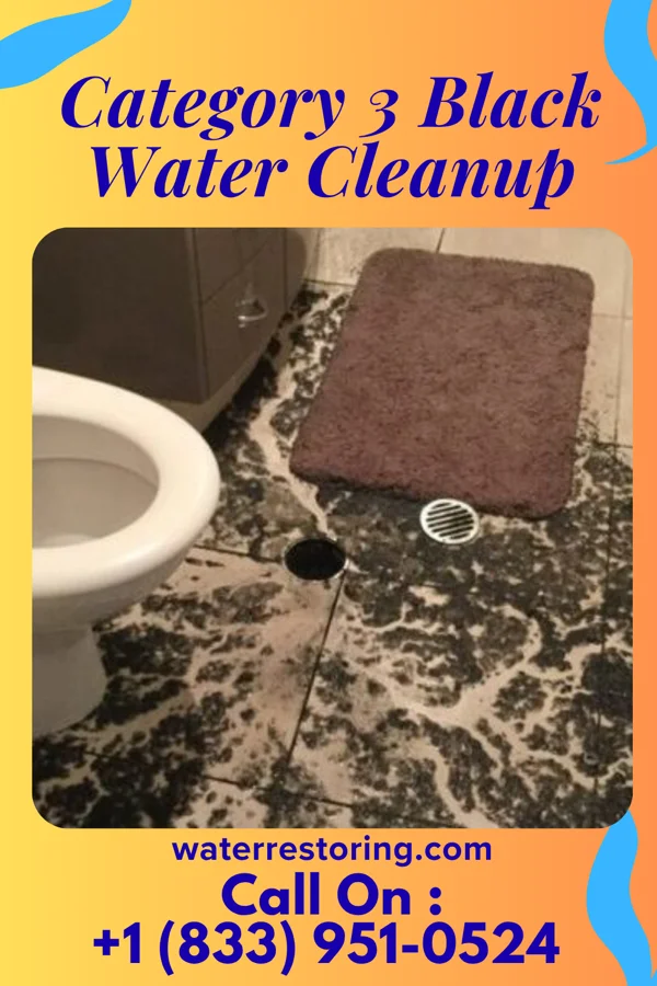 Category 3 Black Water Cleanup in Cotton Plant, AR